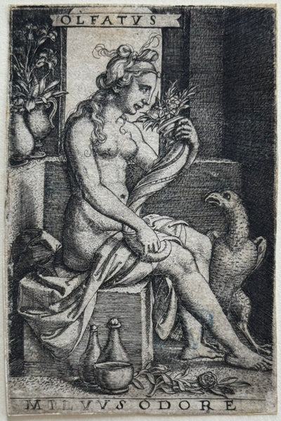 Georg Pencz - Smell