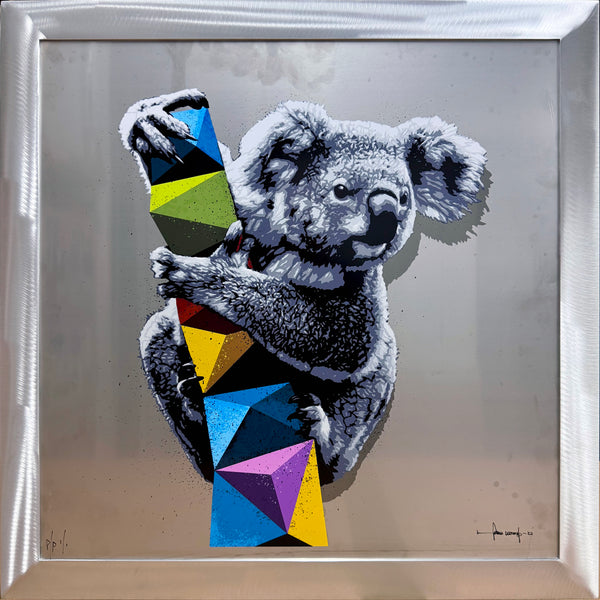 Hama Woods - Broken View